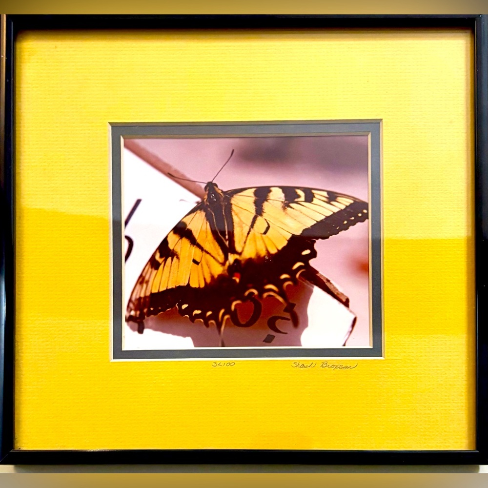 LOW START -Framed Butterfly Signed Art Photograph, 10.75” x 10”, metal frame